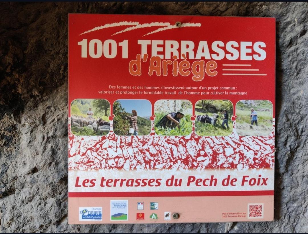 Hebergements Entiers Two Homes T1 Bas Or T1 Haut -Aux Terrasses Du Pech ฟัว ภายนอก รูปภาพ